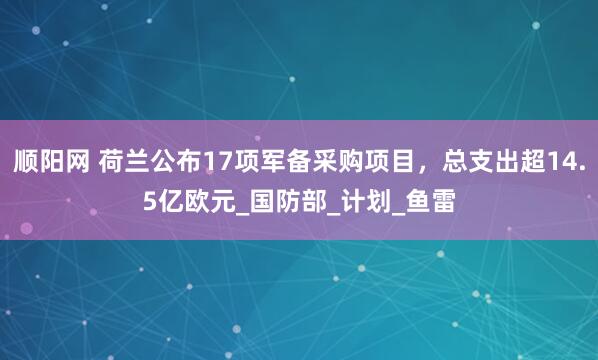 顺阳网 荷兰公布17项军备采购项目，总支出超14.5亿欧元_国防部_计划_鱼雷