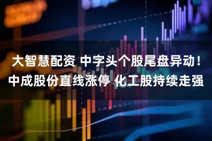 大智慧配资 中字头个股尾盘异动！中成股份直线涨停 化工股持续走强