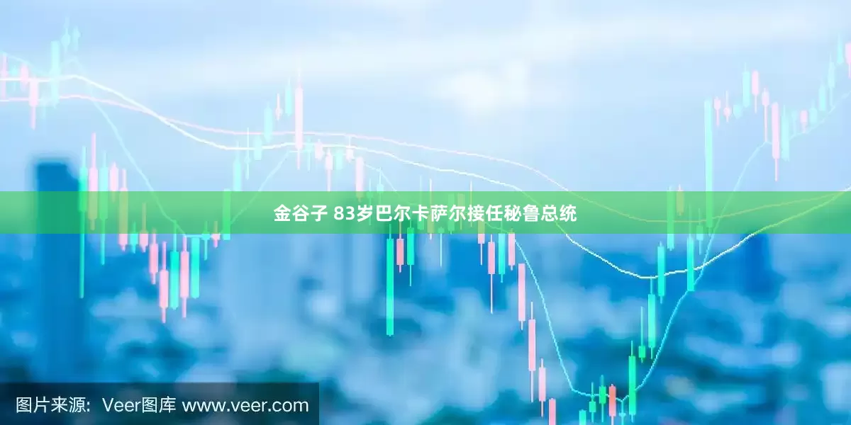 金谷子 83岁巴尔卡萨尔接任秘鲁总统
